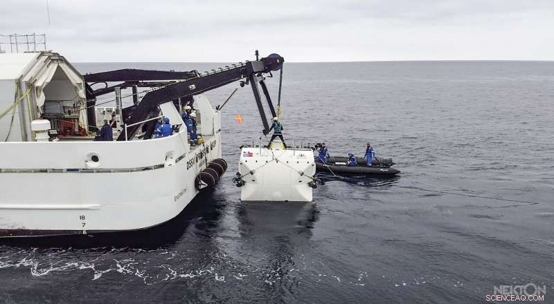 Scientists Dive into the Midnight Zone to Unveil Dark Ocean Secrets