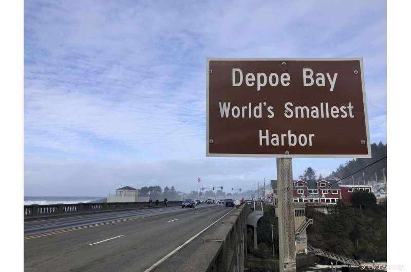 Global King Tide Images Highlight Climate Change Threats