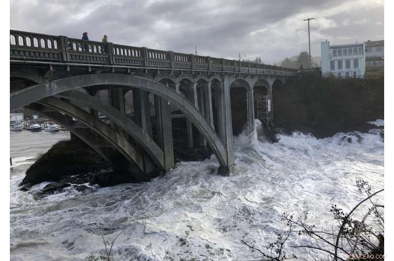 Global King Tide Images Highlight Climate Change Threats