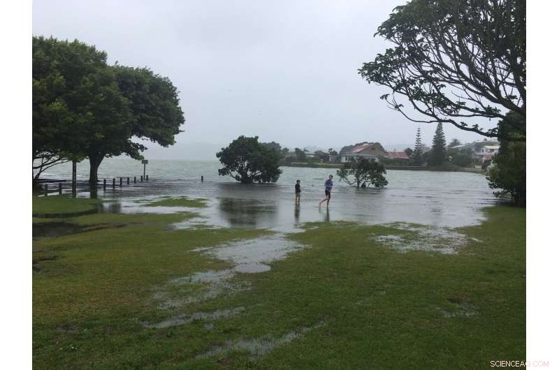 Global King Tide Images Highlight Climate Change Threats