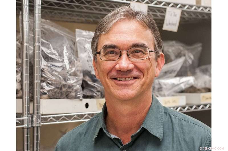 Historical Lessons from the 1896 Atsena Otie Key Hurricane