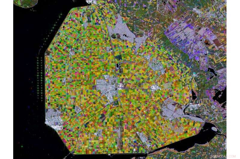 Exploring Flevoland: The Netherlands  Landmark Land Reclamation Project