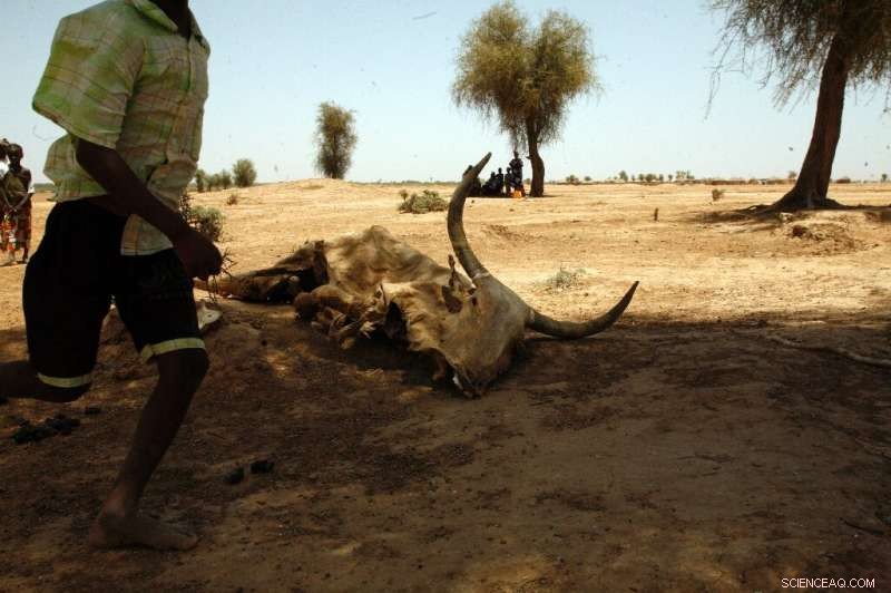 Scientists Warn: Overlapping Ecological Crises May Cause Global Systemic Collapse