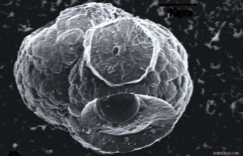 Flammable Ice Reveals Promising Clues About Extraterrestrial Life