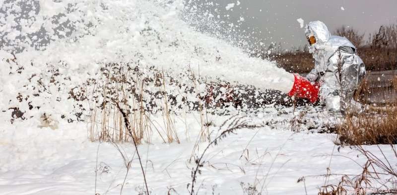 A Blanket Ban on Toxic Forever Chemicals Protects People and Wildlife