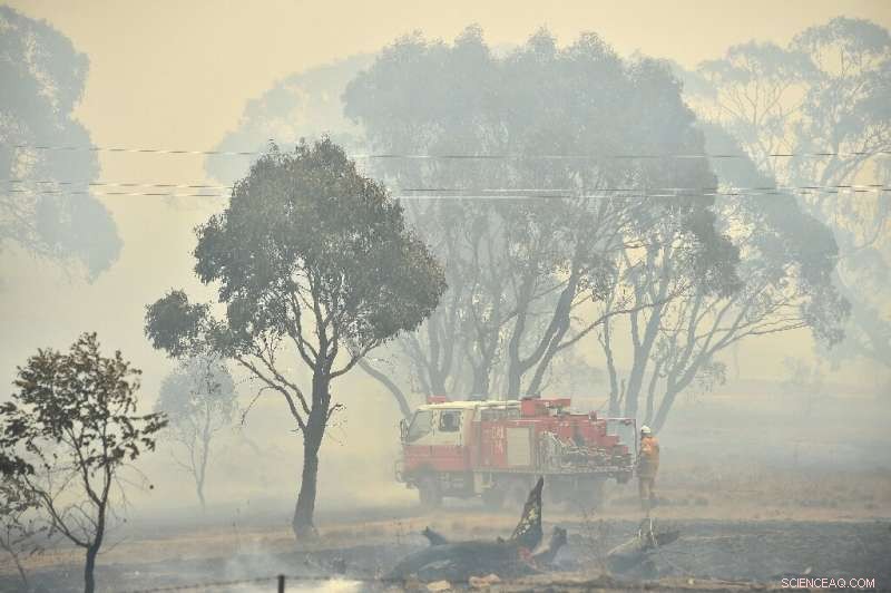 Rainfall Quells Australia’s Unprecedented Bushfire Crisis