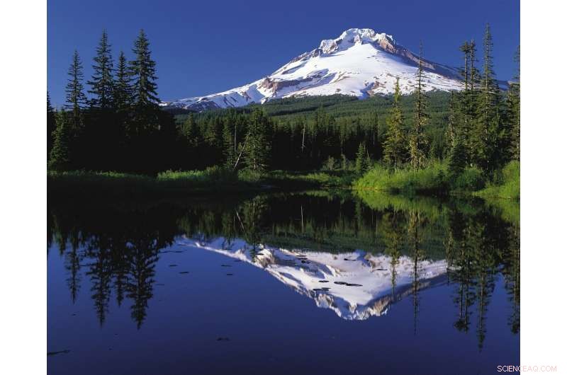 Economic Tradeoffs of Shoreline Armoring on Oregon s Coast: How Land Use Policy Shapes Coastal Risk Management