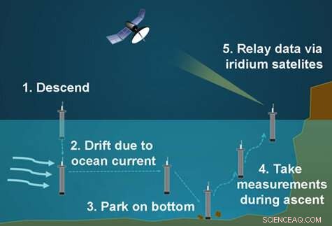 Advanced Coastal Profiling Floats Enhance Ocean Health Diagnostics