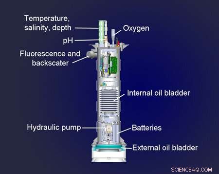 Advanced Coastal Profiling Floats Enhance Ocean Health Diagnostics