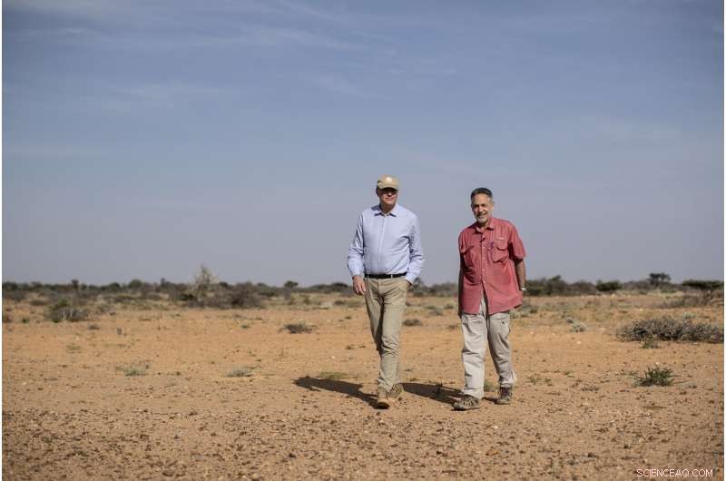 Desert Locusts Build Strength in Somalia: Monitoring the Rising Threat