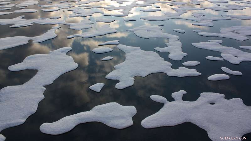 Arctic Ice Melt Alters Global Ocean Currents: What It Means for Climate