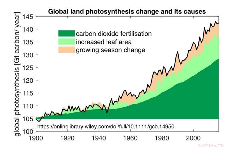 Higher CO₂ Levels Boost Plant Growth, Yet Climate Change Remains a Critical Threat