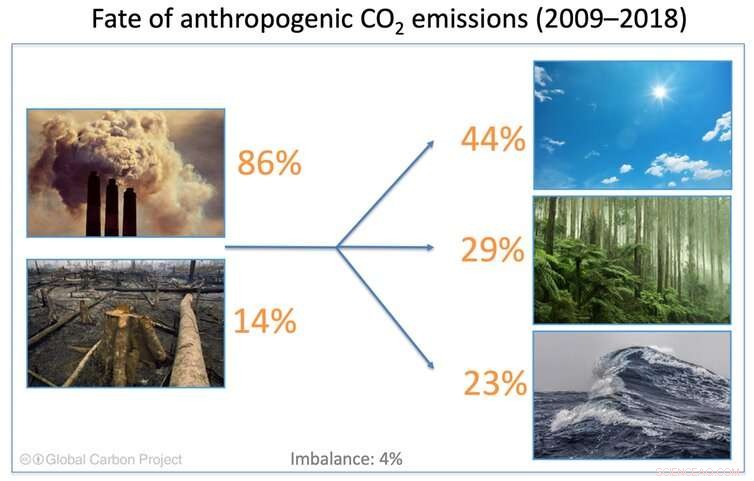 Higher CO₂ Levels Boost Plant Growth, Yet Climate Change Remains a Critical Threat