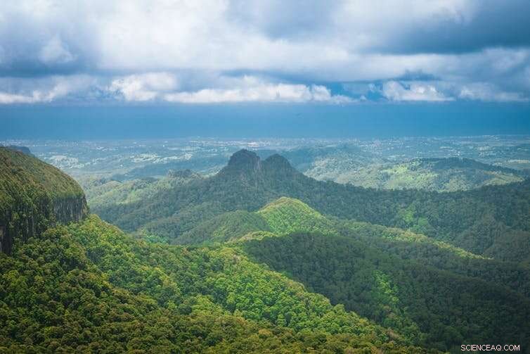 Higher CO₂ Levels Boost Plant Growth, Yet Climate Change Remains a Critical Threat