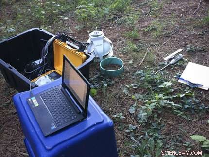 Can Low-Salt Management Boost Soil Health?