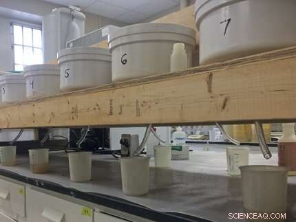 Can Low-Salt Management Boost Soil Health?