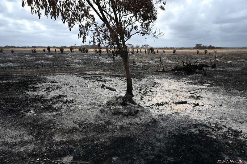 Rainfall Set to Quell Australia’s Ongoing Bushfires in Days