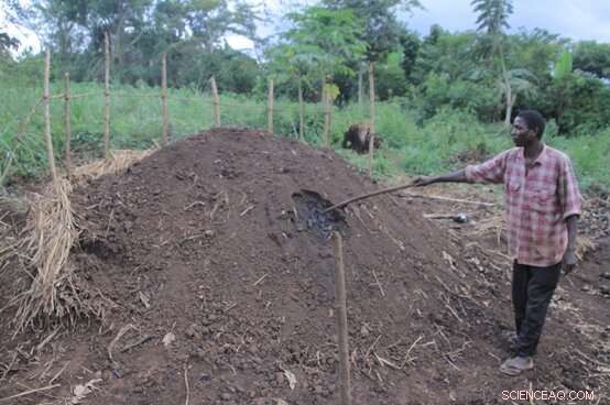 Unveiling Charcoal s Journey: From Production to Impact