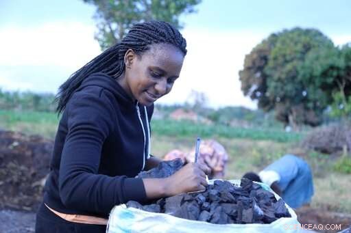 Unveiling Charcoal s Journey: From Production to Impact