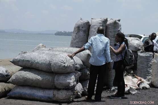 Unveiling Charcoal s Journey: From Production to Impact