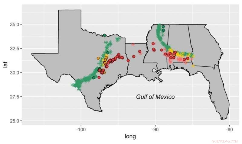 Gulf Coast Mollusks Withstood Climate Shifts Through the Eocene