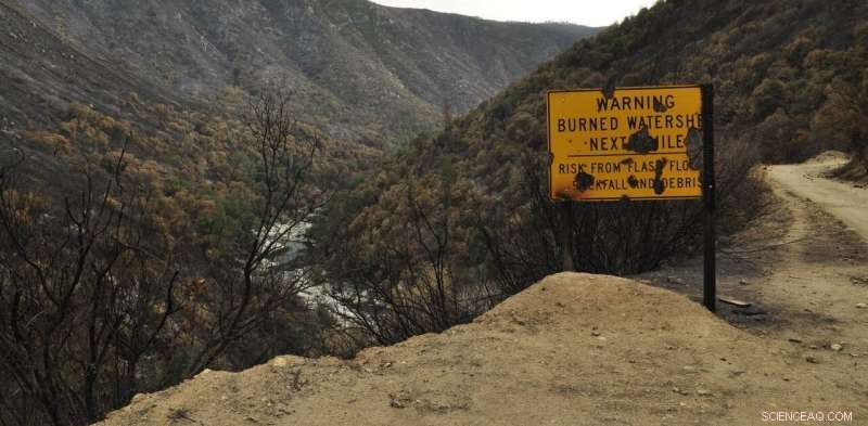 Wildfires Threaten North American Water Supplies: What You Need to Know