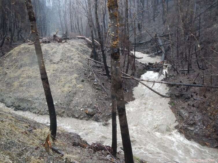 Wildfires Threaten North American Water Supplies: What You Need to Know