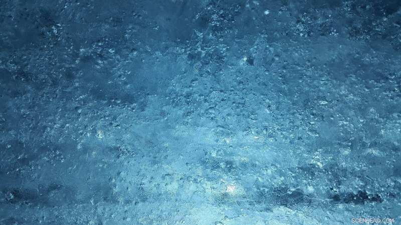 Video: Pine Island Glacier Emits Massive Iceberg, Forming Numerous  Piglet  Fragments