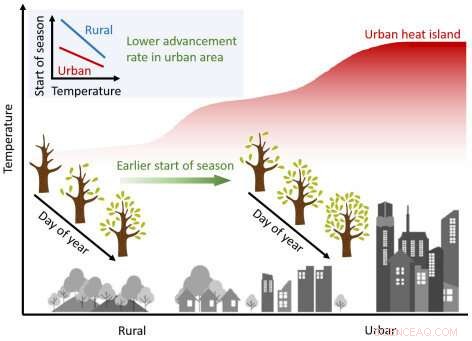 Urban Heat Islands Prompt Trees to Green Early—Study Reveals Heat Trapping Effects