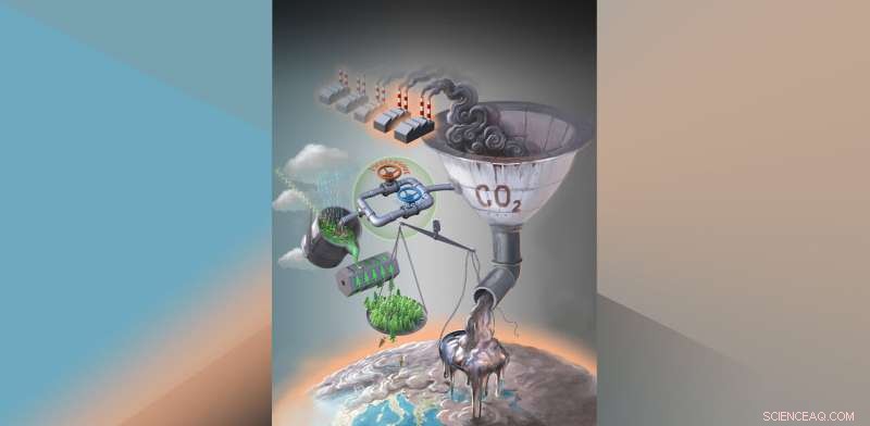 How Soil Nutrients Regulate Carbon Sequestration and Climate Mitigation