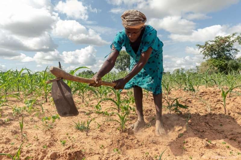 Southern Africa Faces Intensifying Hunger as Climate Crisis Deepens