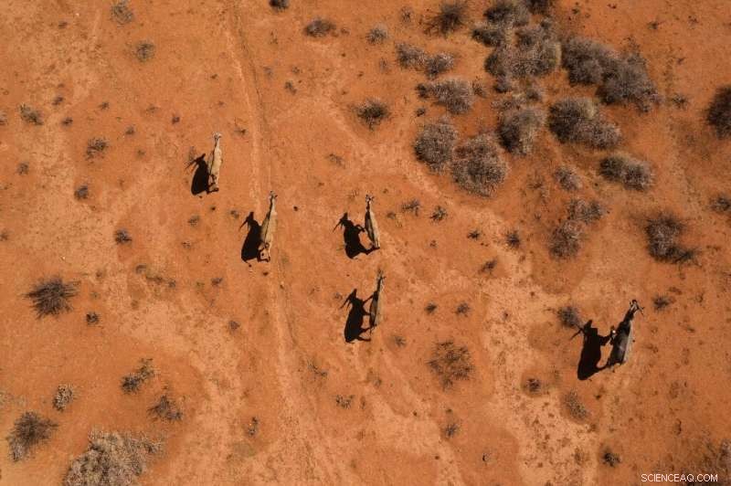 Southern Africa Faces Intensifying Hunger as Climate Crisis Deepens