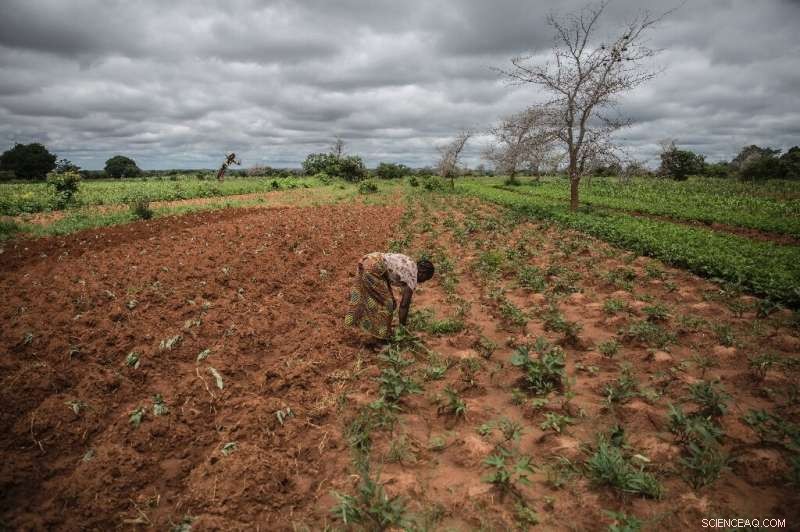 Southern Africa Faces Intensifying Hunger as Climate Crisis Deepens