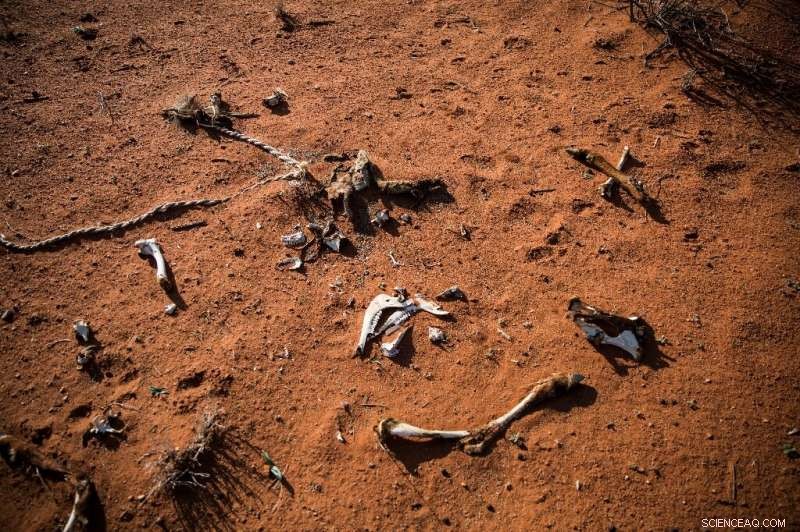 Southern Africa Faces Intensifying Hunger as Climate Crisis Deepens