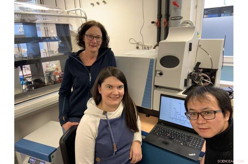 New Arsenic Compounds Found in Rice Fields, Advancing Soil Safety Research