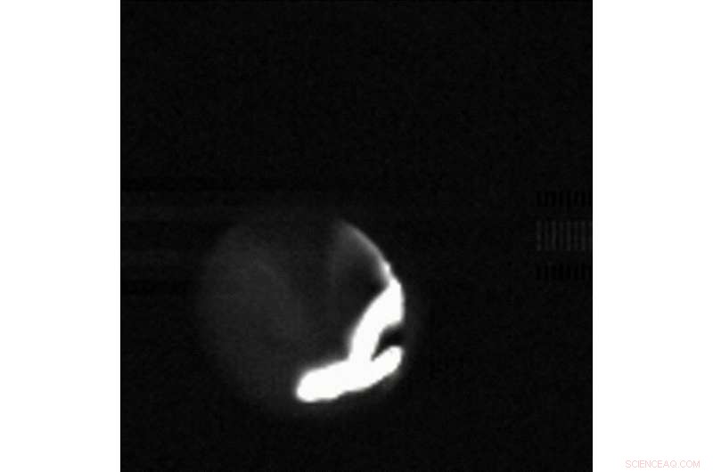 Cold Plasma Vortex Effectively Removes PFAS from Water