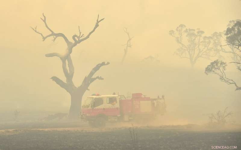 Australia s Bushfires Spark Renewed Interest in Indigenous Fire Management