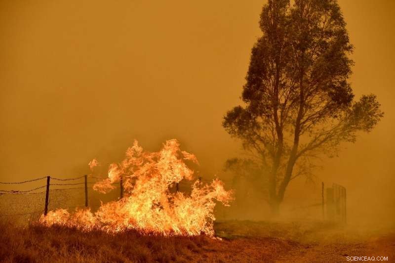 New South Wales Fires Contained; Flood Threats Loom