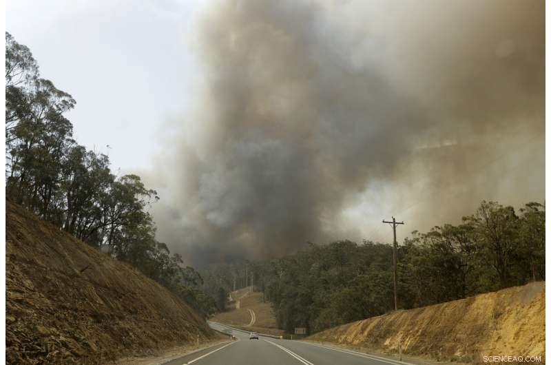 January Sets New Record as Hottest on Record, US Scientists Confirm