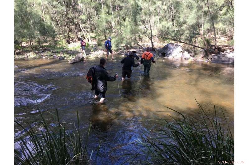 Heavy Rains Benefit Sydney Dams, Yet a Key Caveat Remains