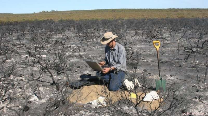 Preparing for a Fire-Resilient Future: How Research Guides Prescribed Burns