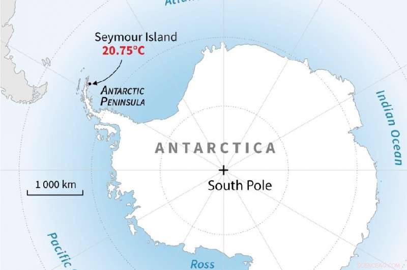 Antarctica Reaches Historic 20°C Record, Surpassing 20°C Threshold