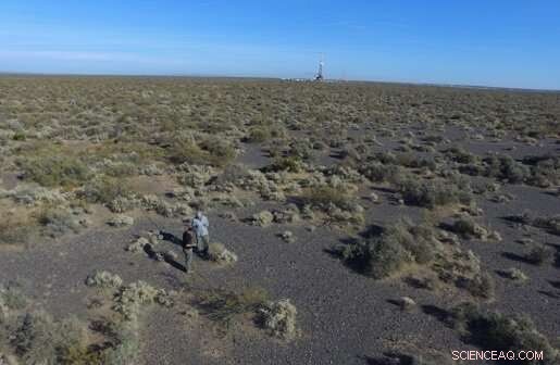 Study Warns Climate Change Triggers Sudden Shifts in Dryland Ecosystems