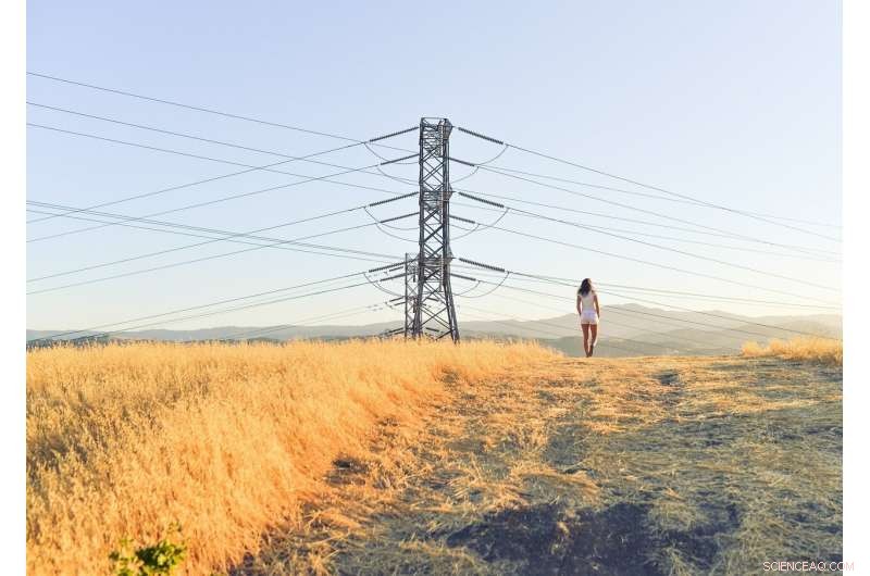 Study Warns Extreme Weather May Overload Urban Power Grids