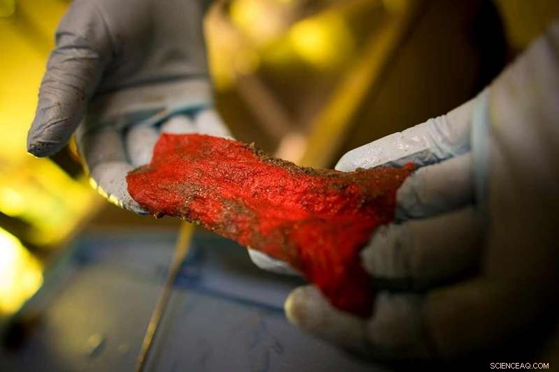 Microplastics: A Growing Global Threat