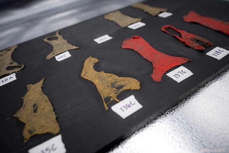 Microplastics: A Growing Global Threat