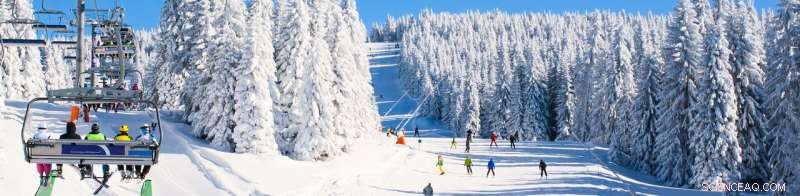 How Ski Resorts Can Safeguard Profits Amid Climate Change – Insights from Cass Business School Research