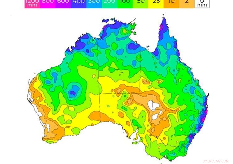 Rain Relieves Drought, Yet Further Efforts Needed to End Water Scarcity