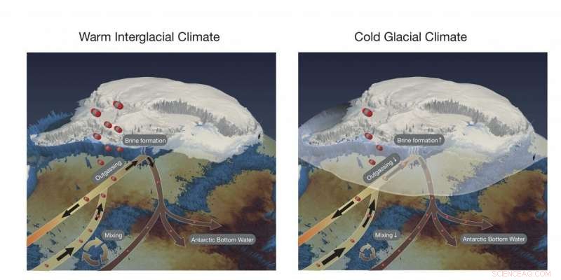 Antarctic Sea Ice Amplifies Earth s Glacial Cycles: Climate Implications