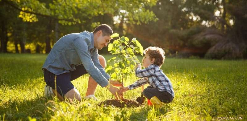 5 Proven Ways Trees Combat Climate Change and Safeguard Our Future